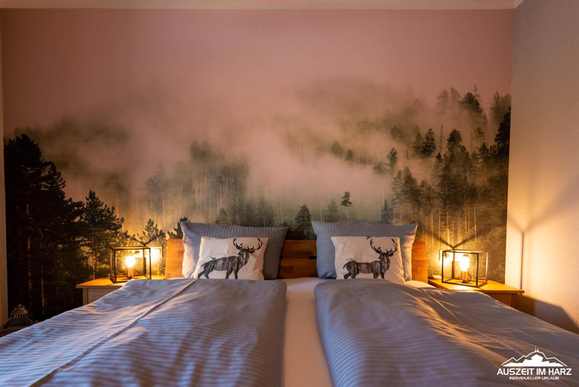 Auszeit-Im-Harz Haus 5 Wohnung 22 Stiege Екстериор снимка